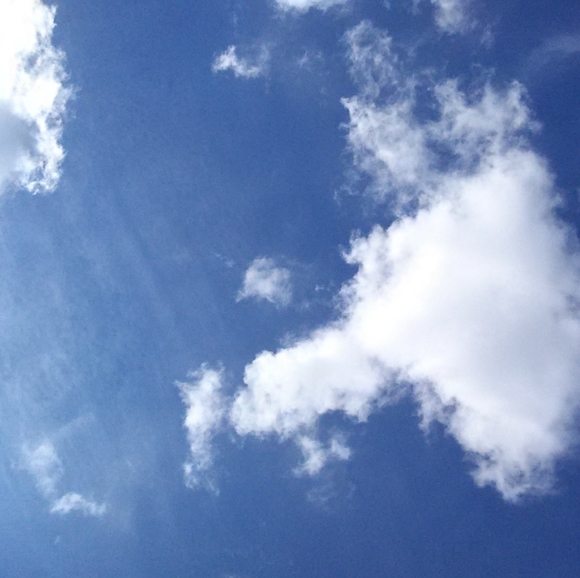 Meet your Posher, Alex - Picture 5 of 8